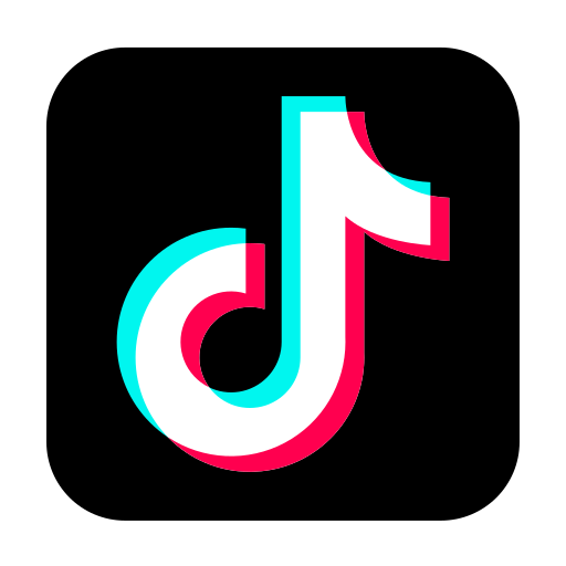 TikTok Icon